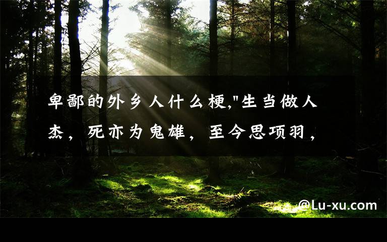 卑鄙的外鄉(xiāng)人什么梗,