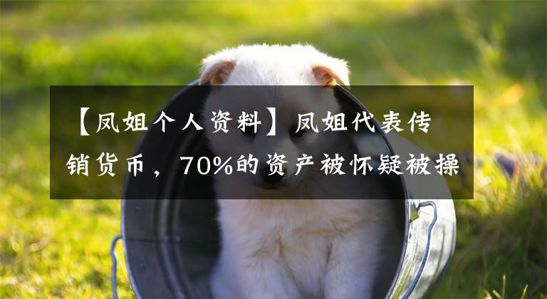 【鳳姐個(gè)人資料】鳳姐代表傳銷貨幣，70%的資產(chǎn)被懷疑被操縱，曝光后刪除了微博。