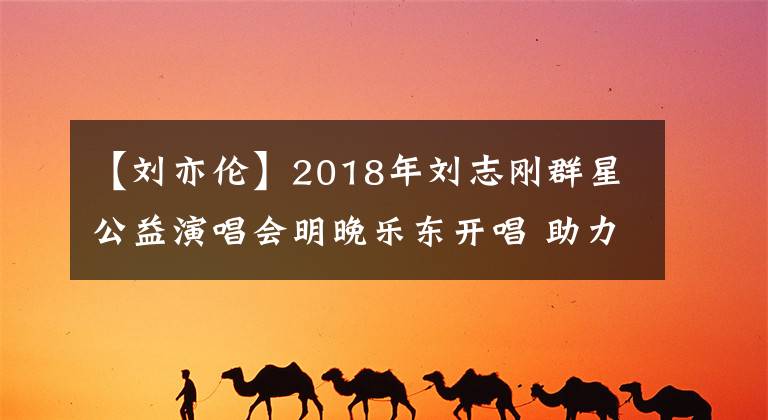 【劉亦倫】2018年劉志剛?cè)盒枪嫜莩獣魍順窎|開唱 助力扶貧事業(yè)