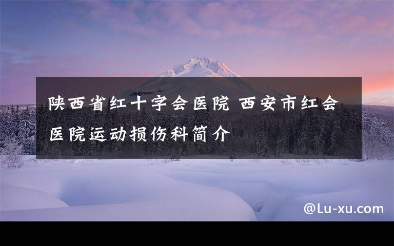 陜西省紅十字會醫(yī)院 西安市紅會醫(yī)院運動損傷科簡介