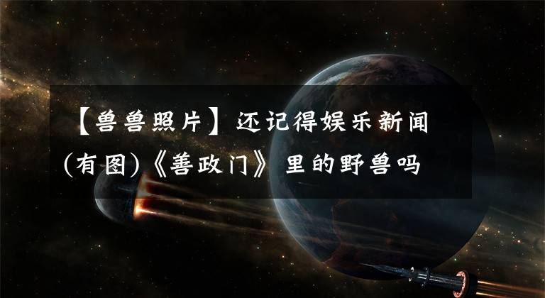 【獸獸照片】還記得娛樂新聞(有圖)《善政門》里的野獸嗎？懷孕了還很火辣！