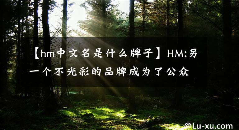 【hm中文名是什么牌子】HM:另一個不光彩的品牌成為了公眾譴責(zé)的對象。我們來談?wù)凥M。