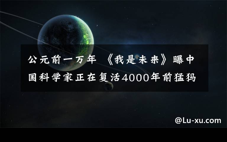 公元前一萬年 《我是未來》曝中國科學(xué)家正在復(fù)活4000年前猛犸象