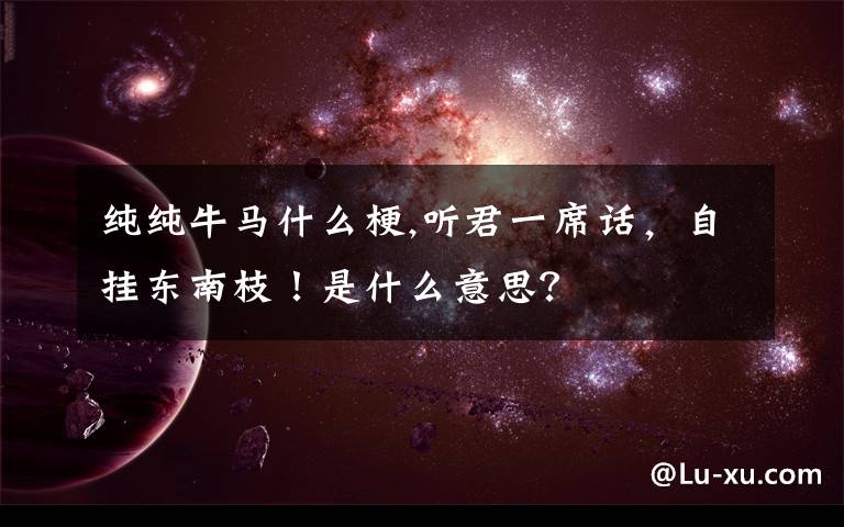 純純牛馬什么梗,聽君一席話，自掛東南枝！是什么意思？