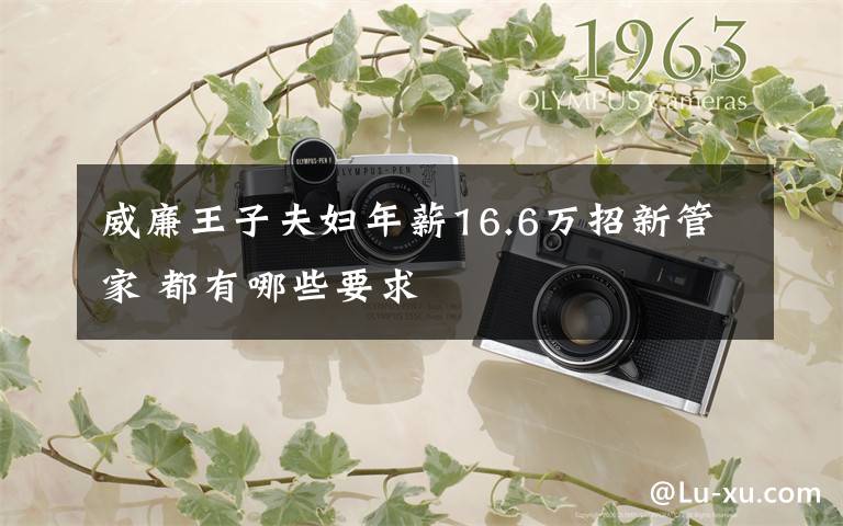 威廉王子夫婦年薪16.6萬招新管家 都有哪些要求