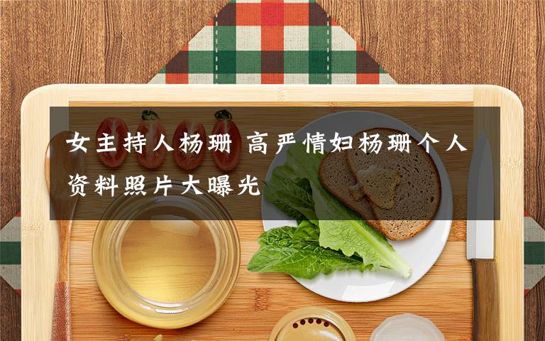 女主持人楊珊 高嚴(yán)情婦楊珊個(gè)人資料照片大曝光