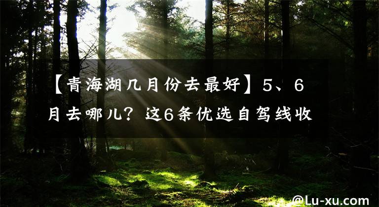 【青海湖幾月份去最好】5、6月去哪兒？這6條優(yōu)選自駕線收藏起來，隨時說走就走