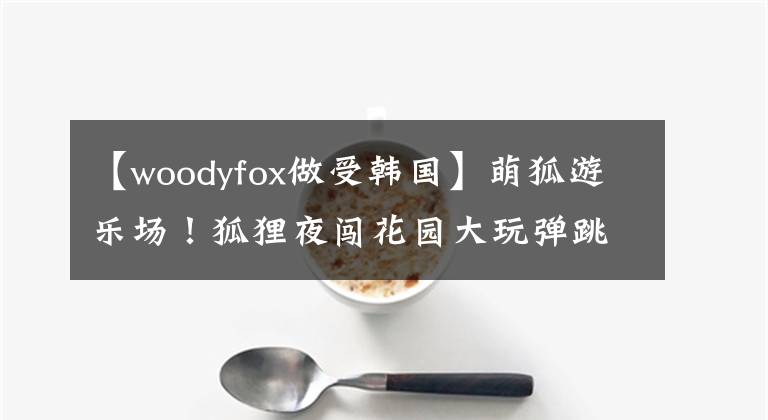 【woodyfox做受韓國】萌狐游樂場！狐貍夜闖花園大玩彈跳床翻滾跳躍萌翻天！