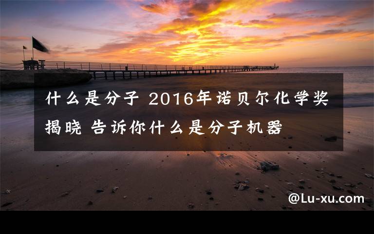 什么是分子 2016年諾貝爾化學獎揭曉 告訴你什么是分子機器