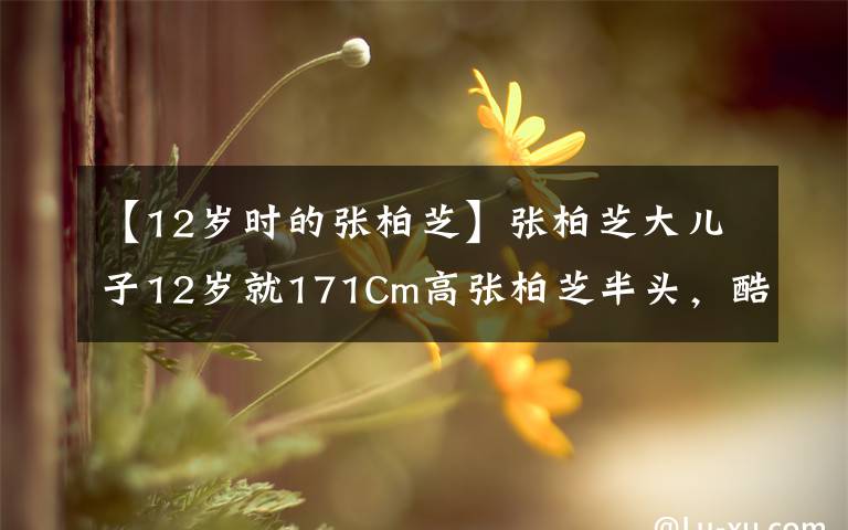 【12歲時(shí)的張柏芝】張柏芝大兒子12歲就171Cm高張柏芝半頭，酷帥模樣神似謝霆鋒