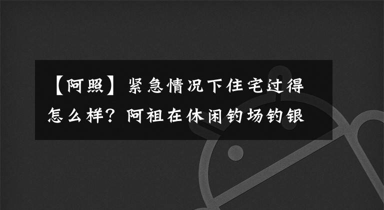 【阿照】緊急情況下住宅過得怎么樣？阿祖在休閑釣場釣銀鱈魚，吃得這么香。