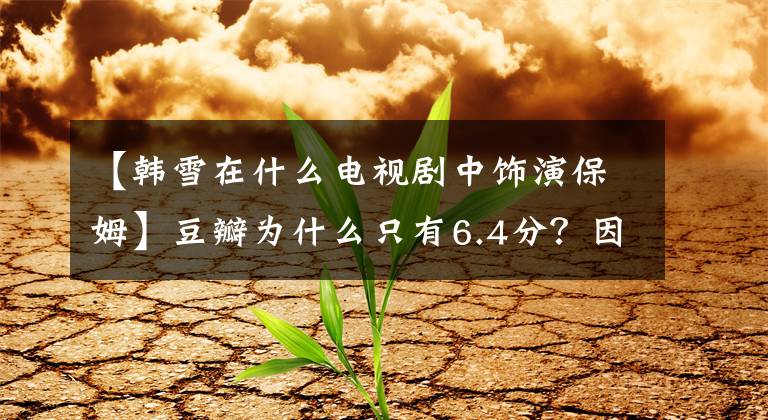 【韓雪在什么電視劇中飾演保姆】豆瓣為什么只有6.4分？因?yàn)樵u(píng)分，差點(diǎn)錯(cuò)過(guò)《巡回檢察組》這出好戲