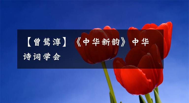 【曾鷥淳】《中華新韻》中華詩(shī)詞學(xué)會(huì)