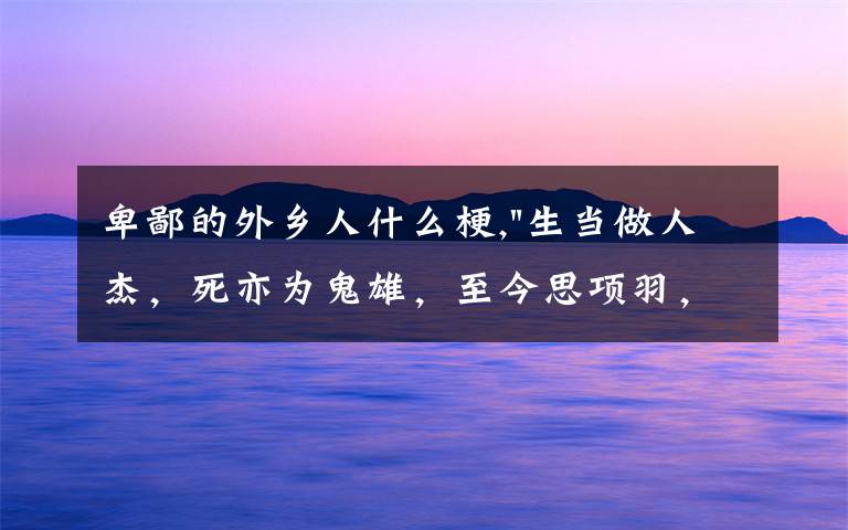 卑鄙的外鄉(xiāng)人什么梗,