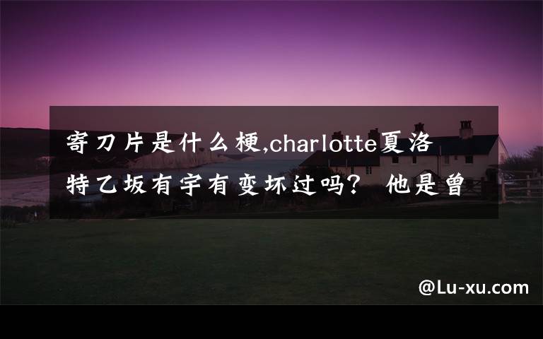 寄刀片是什么梗,charlotte夏洛特乙坂有宇有變壞過嗎？ 他是曾變壞過又好了，還是一切都是他的想象？