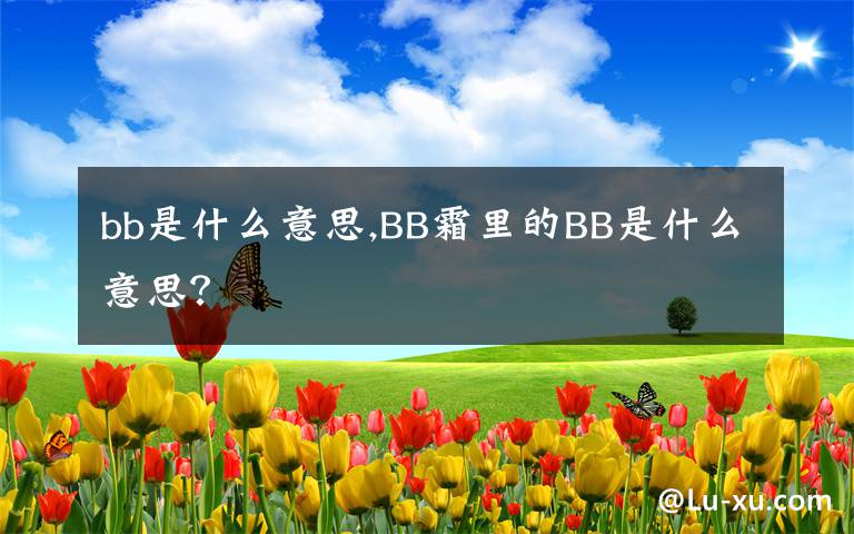 bb是什么意思,BB霜里的BB是什么意思？