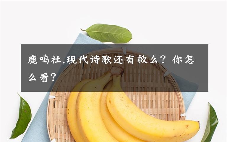 鹿鳴社,現(xiàn)代詩歌還有救么？你怎么看？