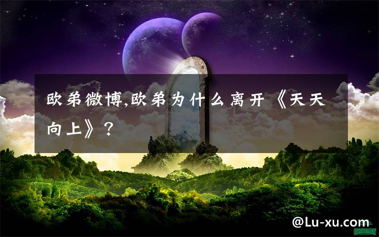 歐弟微博,歐弟為什么離開《天天向上》？