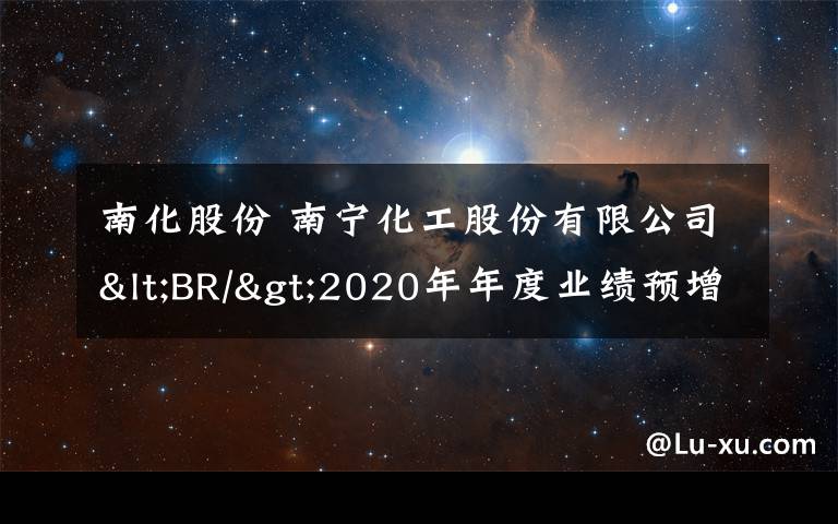 南化股份 南寧化工股份有限公司<BR/>2020年年度業(yè)績(jī)預(yù)增公告