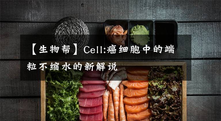 【生物幫】Cell:癌細(xì)胞中的端粒不縮水的新解說(shuō)