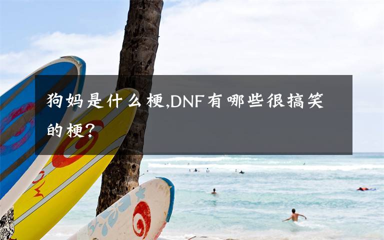 狗媽是什么梗,DNF有哪些很搞笑的梗？