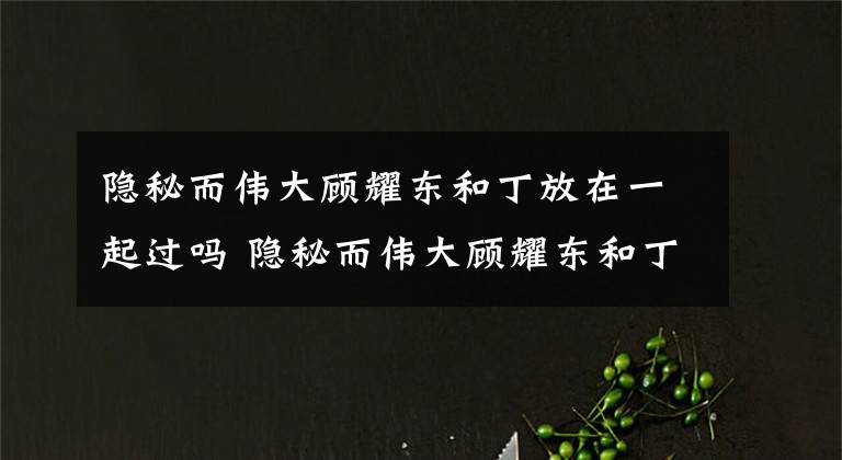 隱秘而偉大顧耀東和丁放在一起過嗎 隱秘而偉大顧耀東和丁放在一起過沒 隱秘而偉大丁放莫干山