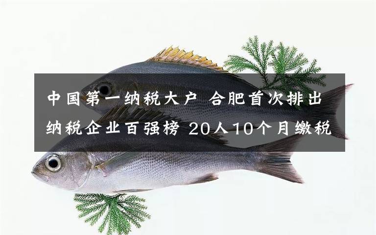 中國第一納稅大戶 合肥首次排出納稅企業(yè)百強(qiáng)榜 20人10個(gè)月繳稅1個(gè)億