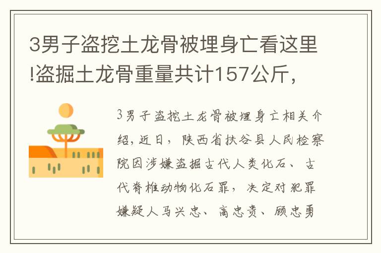 3男子盜挖土龍骨被埋身亡看這里!盜掘土龍骨重量共計157公斤，府谷縣檢察院對馬興忠等7人批準逮捕