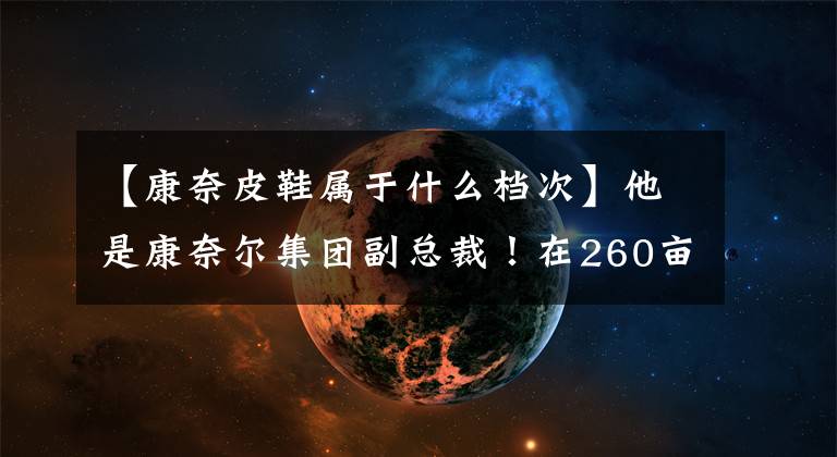 【康奈皮鞋屬于什么檔次】他是康奈爾集團副總裁！在260畝雜草地上建廠，實現(xiàn)產(chǎn)值1億元。