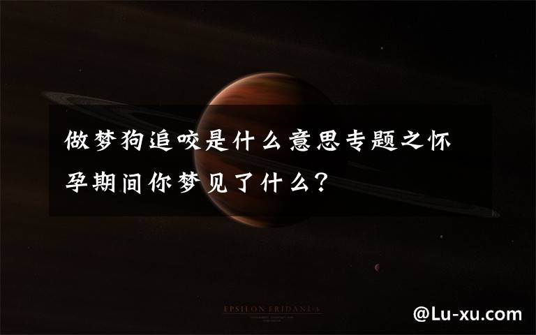 做夢狗追咬是什么意思專題之懷孕期間你夢見了什么？