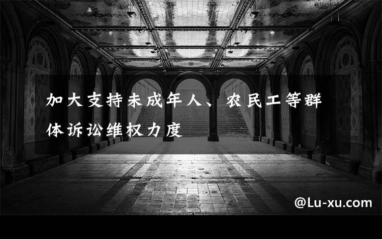 加大支持未成年人、農(nóng)民工等群體訴訟維權(quán)力度