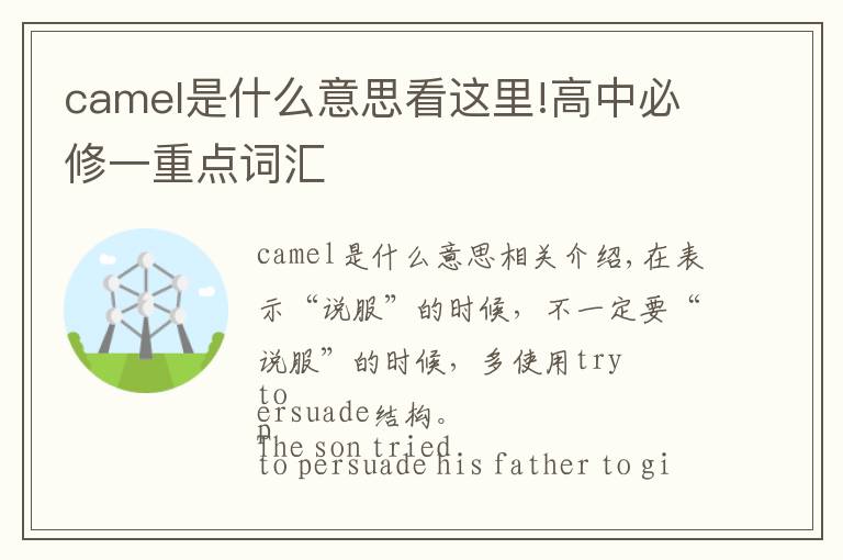 camel是什么意思看這里!高中必修一重點詞匯