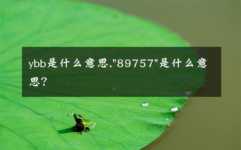 ybb是什么意思,