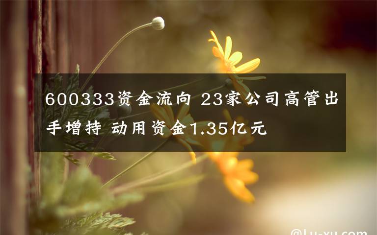 600333資金流向 23家公司高管出手增持 動用資金1.35億元