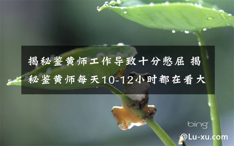 揭秘鑒黃師工作導致十分憋屈 揭秘鑒黃師每天10-12小時都在看大尺度圖片！