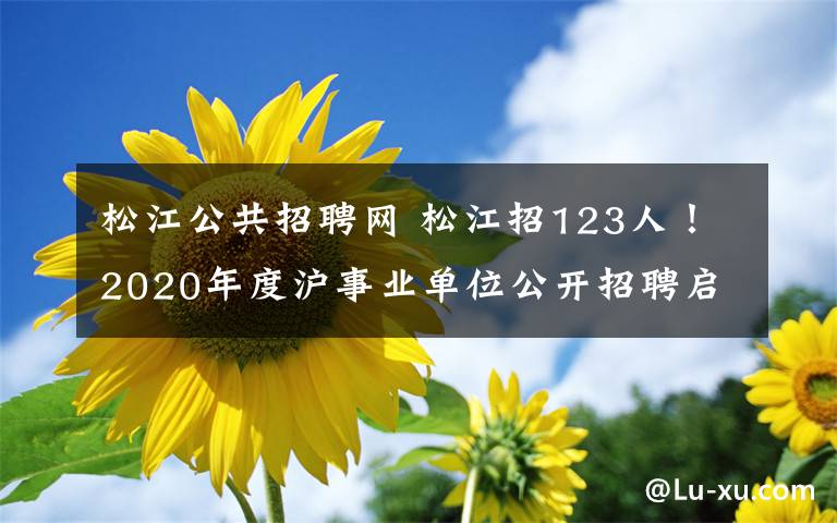 松江公共招聘網(wǎng) 松江招123人！2020年度滬事業(yè)單位公開招聘啟動，7月13日起報名！