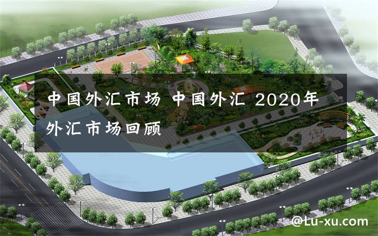 中國外匯市場 中國外匯 2020年外匯市場回顧