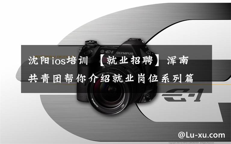 沈陽ios培訓(xùn) 【就業(yè)招聘】渾南共青團(tuán)幫你介紹就業(yè)崗位系列篇—沈陽國際軟件園企業(yè)崗位專篇二