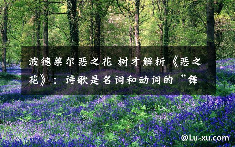 波德萊爾惡之花 樹才解析《惡之花》：詩歌是名詞和動(dòng)詞的“舞蹈”