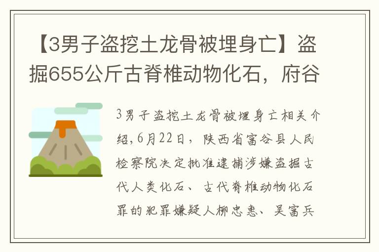 【3男子盜挖土龍骨被埋身亡】盜掘655公斤古脊椎動物化石，府谷縣檢察院對劉忠惠、吳富兵、張利平批準逮捕