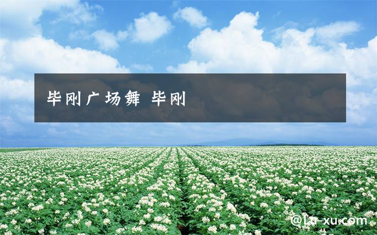 畢剛廣場(chǎng)舞 畢剛