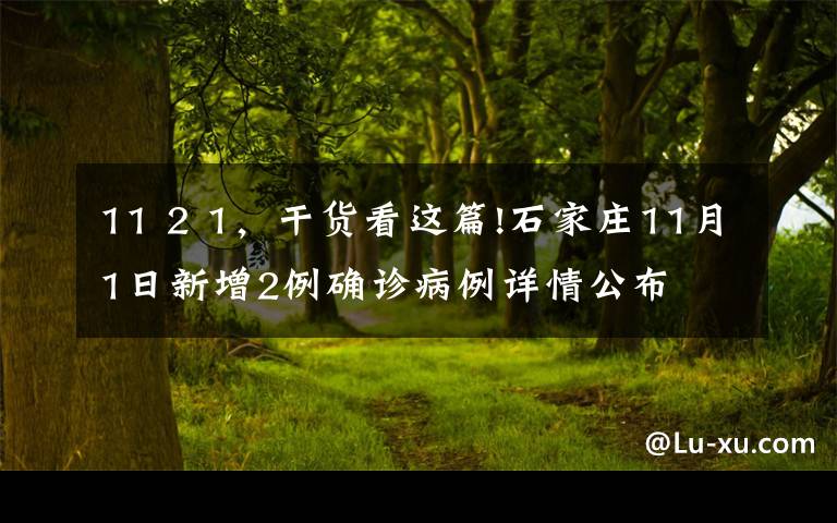 11 2 1，干貨看這篇!石家莊11月1日新增2例確診病例詳情公布