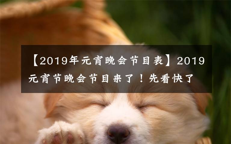 【2019年元宵晚會(huì)節(jié)目表】2019元宵節(jié)晚會(huì)節(jié)目來(lái)了！先看快了！