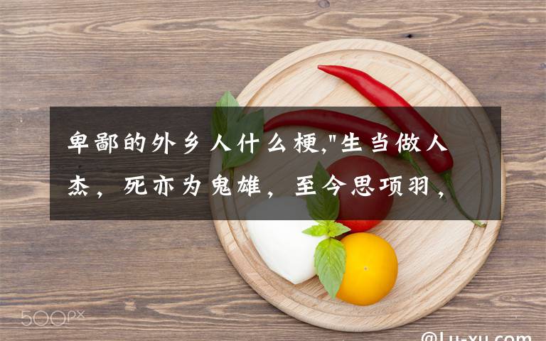 卑鄙的外鄉(xiāng)人什么梗,