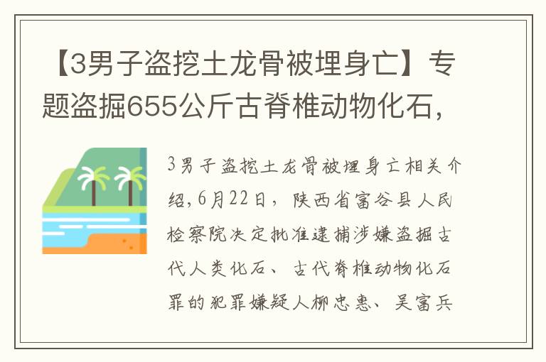 【3男子盜挖土龍骨被埋身亡】專題盜掘655公斤古脊椎動物化石，府谷縣檢察院對劉忠惠、吳富兵、張利平批準逮捕