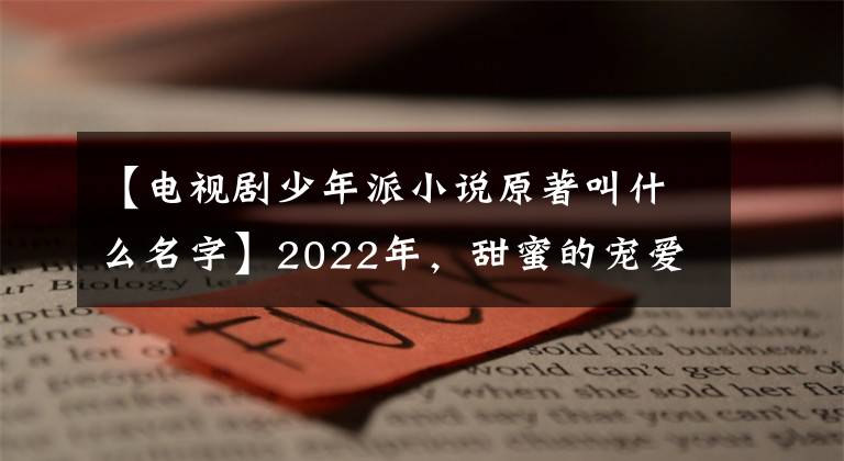 【電視劇少年派小說原著叫什么名字】2022年，甜蜜的寵愛和城市情感進一步融合，類型劇報告(2)