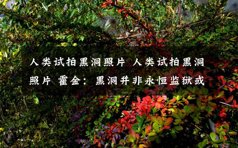 人類試拍黑洞照片 人類試拍黑洞照片 霍金：黑洞并非永恒監(jiān)獄或通往另一宇宙