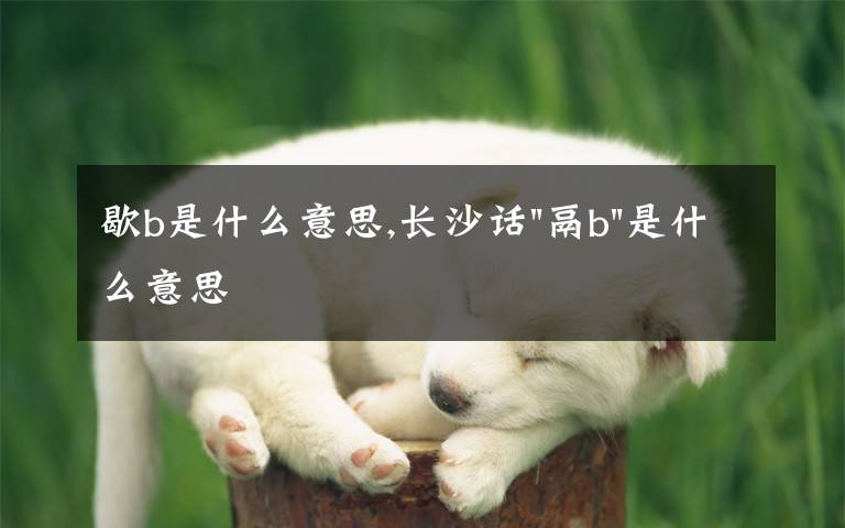 歇b是什么意思,長沙話