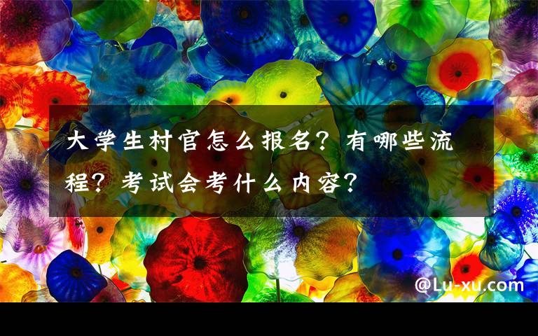 大學生村官怎么報名？有哪些流程？考試會考什么內容？