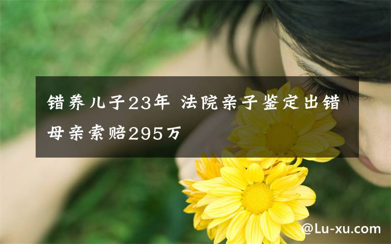 錯(cuò)養(yǎng)兒子23年 法院親子鑒定出錯(cuò)母親索賠295萬